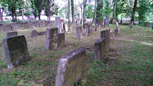 Vyčištěná plocha hřbitova v květnu 2016.